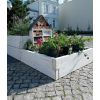 Anordnung von erhöhten Pflanzkübeln aus Beton