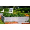Beton-Gemüsegarten-Schule 29 cm