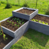 Betonbeet für Blumen für Bienen