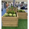 Betonbeet für Blumen für Bienen