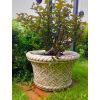 Blumentopf für den Garten H 43 cm