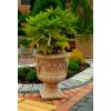 Blumentopfvase für einen kleinen Busch 51 cm