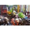Gartenfigur Pferdekutsche