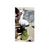 Gartenstatue Weißstorch H 79 cm