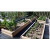 Hochbeet Stufenanlage