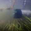 Schwimmender Wasserumwälzer, Enteiserteich