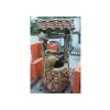 alten faulen Wasser gut in Sumer Garten,