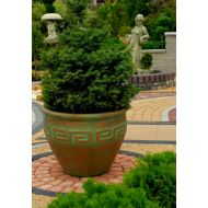 Blumentopf auf der Terrasse Gavatha  - Blumentopf auf der Terrasse Gavatha - blumentopf_auf_der_terrasse_gavatha_.jpg