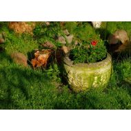 Blumentopf mit Reliefs mit Amoretten H 36 cm - Blumentopf mit Reliefs mit Amoretten H 36 cm - blumentopf_mit_reliefs_mit_amoretten_h_36_cm.jpg