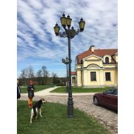 Parklampe, Stadtlampe auf einem gusseisernen Mast mit mehreren Laternen - Parklampe, Stadtlampe auf einem gusseisernen Mast mit mehreren Laternen - parklampe,_stadtlampe_auf_einem_gusseisernen_mast_mit_mehreren_laternen_(1).jpg