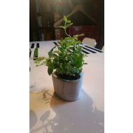 Stein Blumentopf Herzform H 8 cm - Stein Blumentopf Herzform H 8 cm - stein_blumentopf_herzform_h_8_cm.jpg