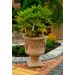 Blumentopfvase für einen kleinen Busch 51 cm, Art.-Nr.: 2043, Höhe B-S: 51 cm, Breite(Durchmesser des äußeren: 44 cm, Länge(Innendurchmesser): 44 cm, Gewicht: 41kg