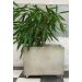 Moderner Blumentopf mit Rädern H 47 cm, Höhe B-S: 47 cm, Länge(Innendurchmesser): 38cm, Gewicht: 87kg, Breite(Durchmesser des äußeren: 58cm, Art.-Nr.: 2068W