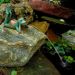 Wasserspeier aus der liegende Frosch H 8 cm, Höhe: 8 cm, Art.-Nr.: 6020, Gewicht:  7 kg, Länge(Innendurchmesser): 32cm, Breite(Durchmesser des äußeren: 25 cm