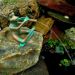 Wasserspeier Frosch mit Flöte H 12 cm , Breite(Durchmesser des äußeren: 25 cm, Art.-Nr.: 6021, Gewicht:  7 kg, Länge(Innendurchmesser): 35 cm, Höhe: 12 cm